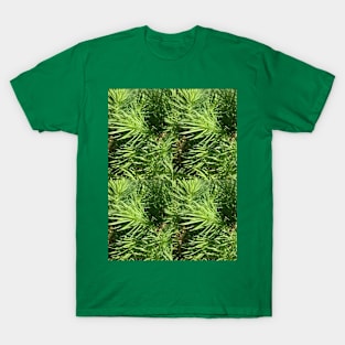 Green T-Shirt